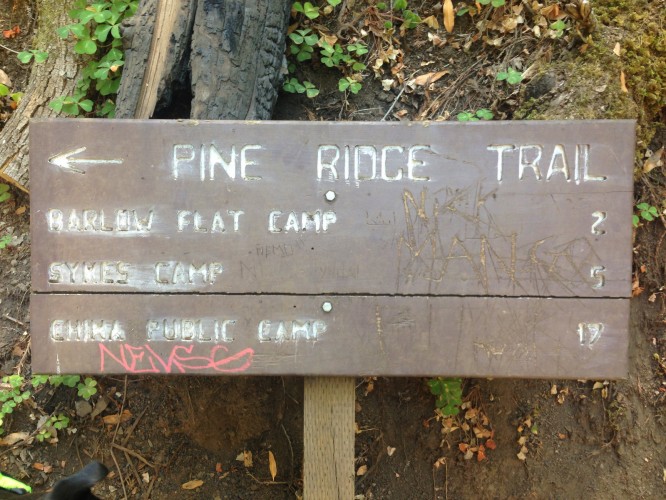 Camp Sign