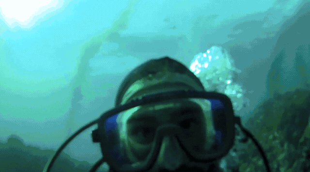 Bug Hunting off of Santa Barbara and Catalina Islands