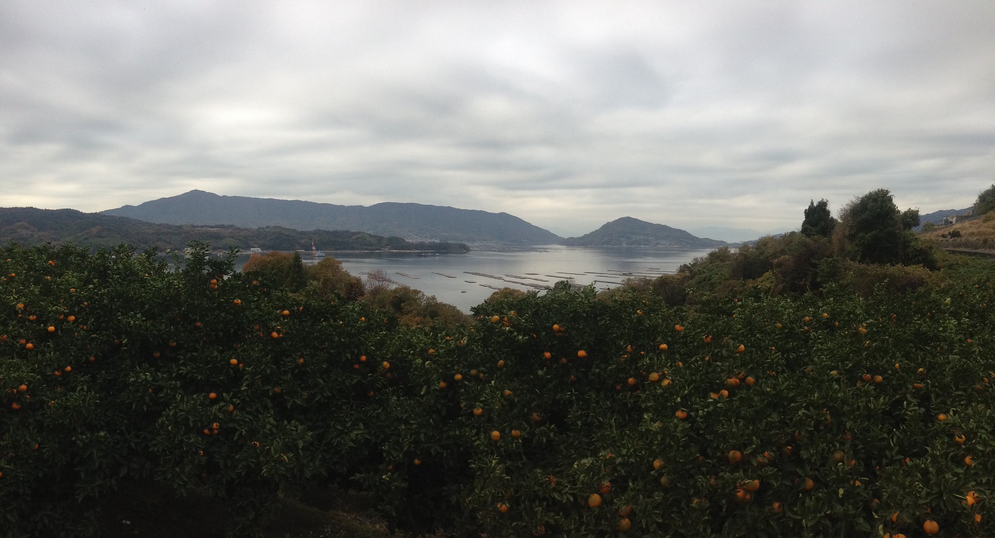 Kyoto (last day) + Etajima + Hiroshima