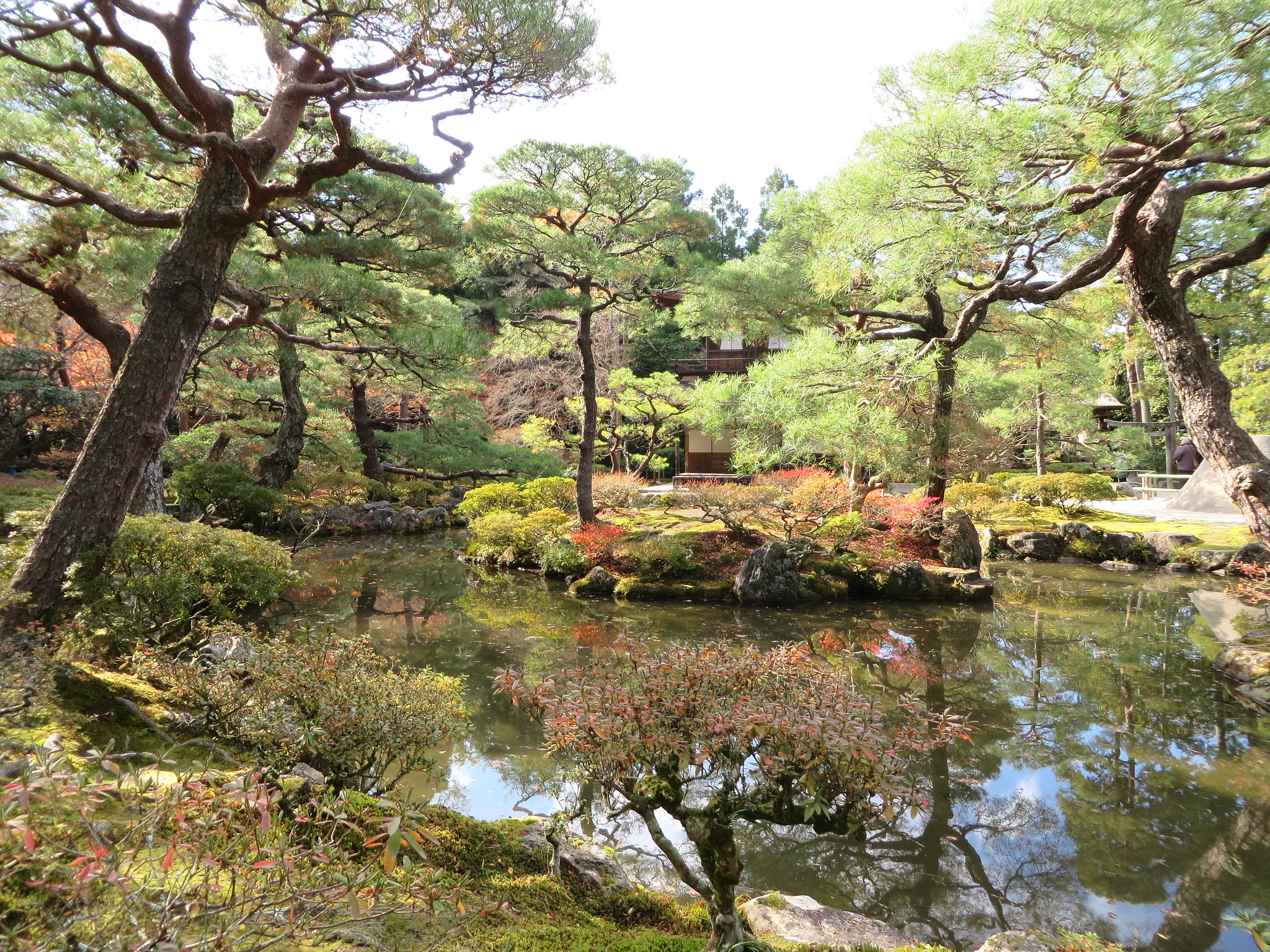 Kyoto + Arashiyama + Nara + Kinkaku-ji + Philosopher’s Path